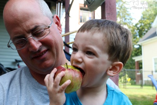Mmmm apple.
