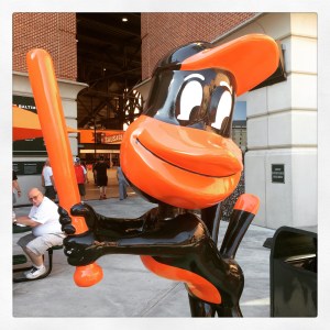 The bird. 