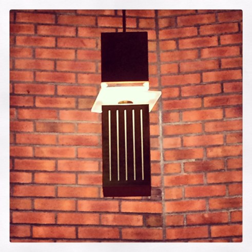 photo 2 (4)