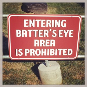 This is near the outfield lawn seats. 